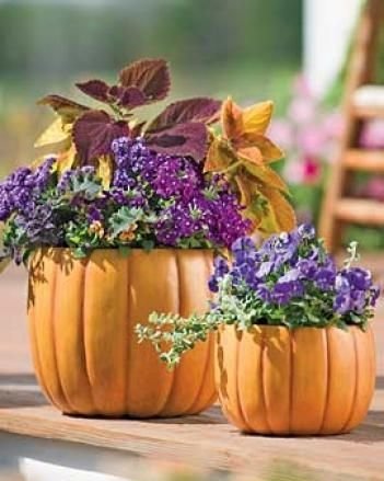 Pumpkin Planters