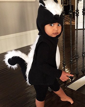 North’s Skunk Costume