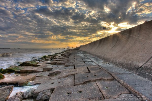 Prime Pickings at Galveston Island, Texas