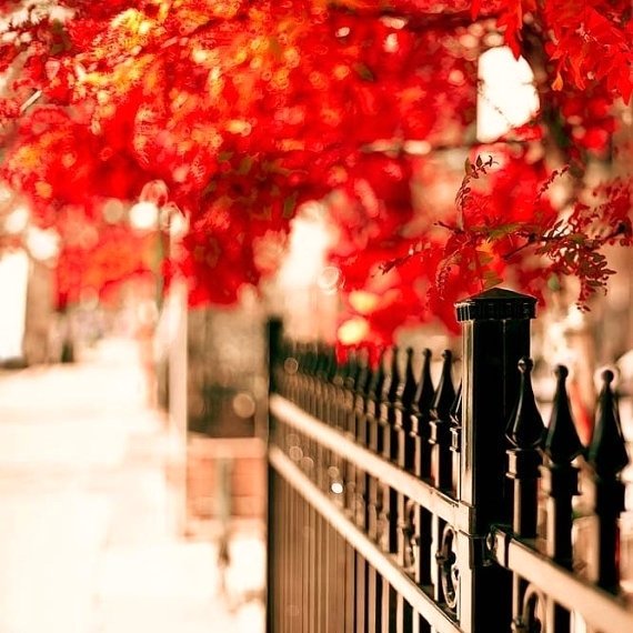 Why We're Happy That Fall is Just around the Corner