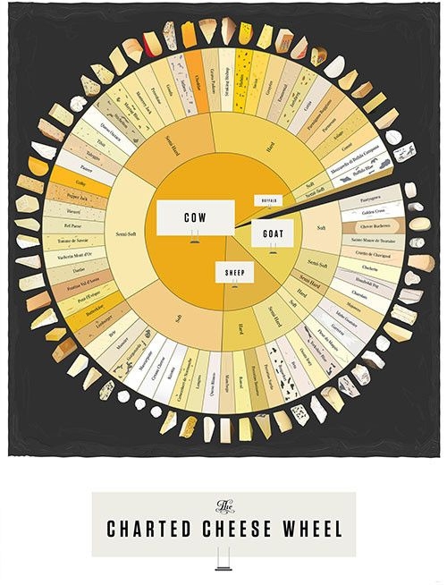 The Charted Cheese Wheel