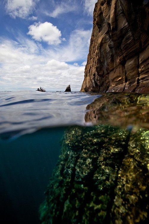 The Galapagos Islands Are a Great Choice