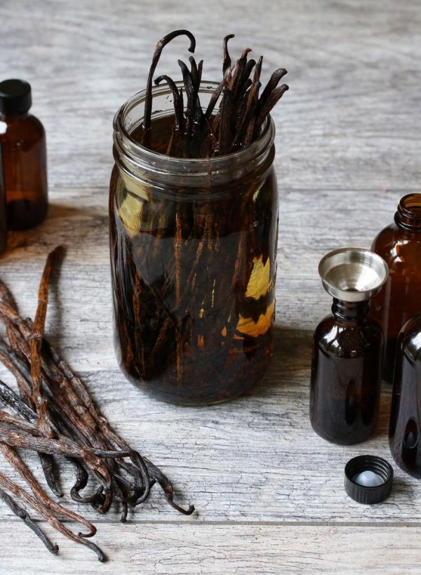 Vanilla, Vanilla extract, Food, Ingredient, Plant,