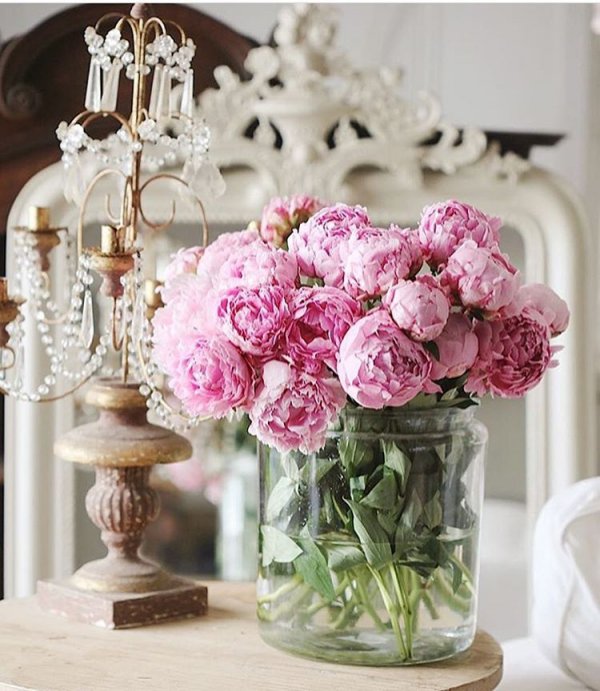 flower, pink, plant, centrepiece, floristry,