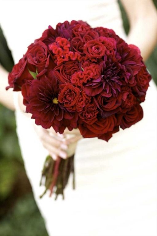 flower,flower bouquet,flower arranging,red,plant,