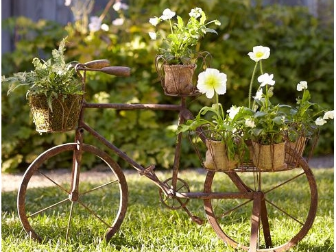 Old Bicycle