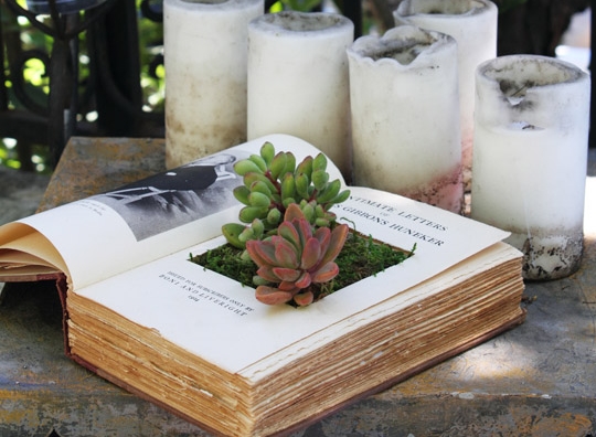 Book Planters