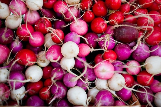 Radishes