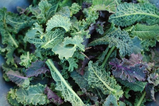 Mustard Greens/Kale