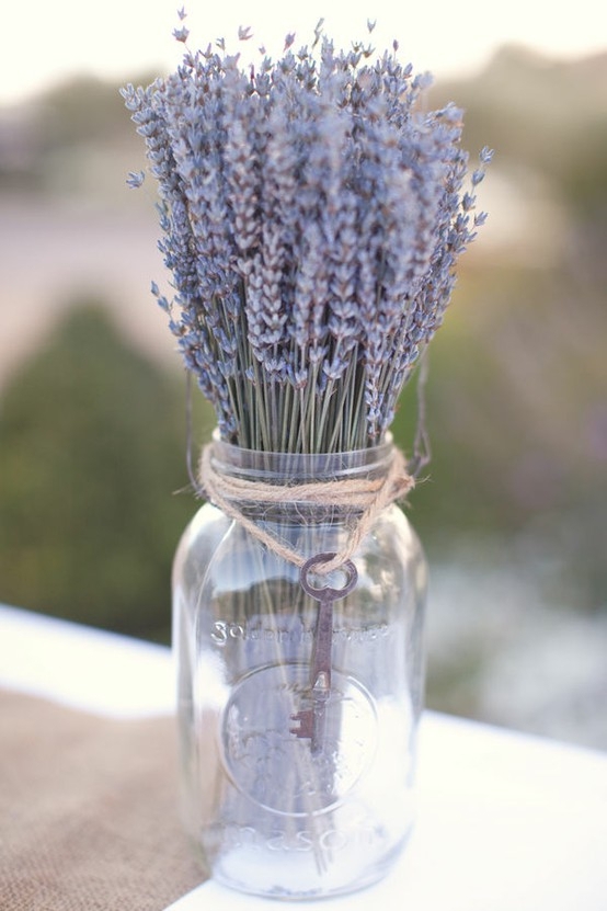 Lavender