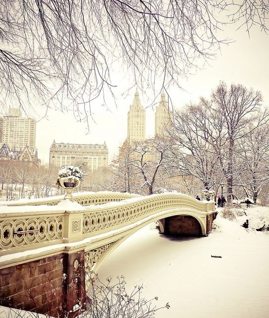 Central Park, New York, USA