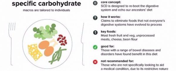 Specific Carbohydrate Diet