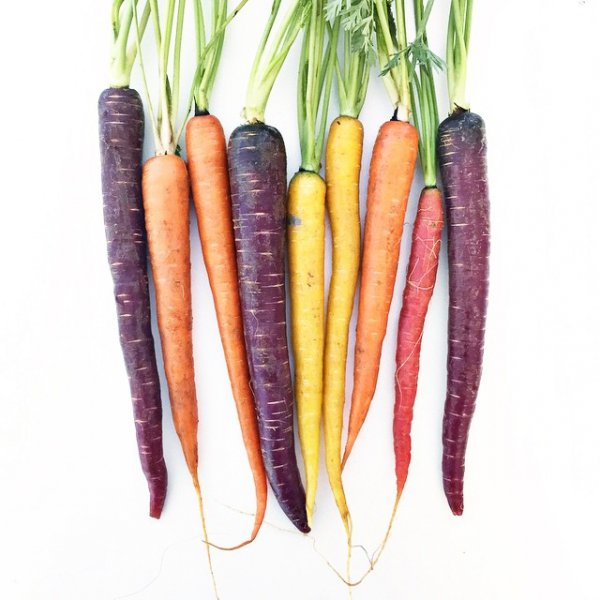 carrot, food, vegetable, produce,