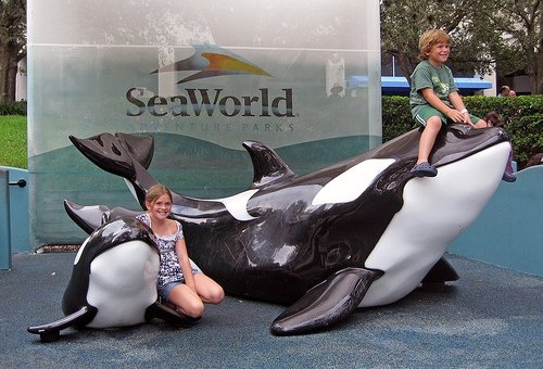 Sea World