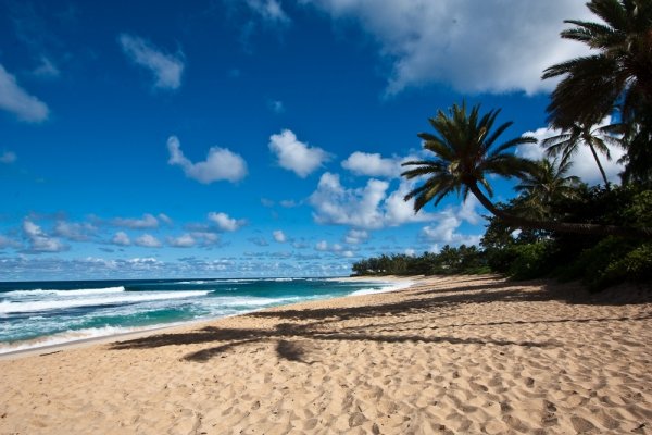 North Shore Oahu, Honolulu, Hawaii