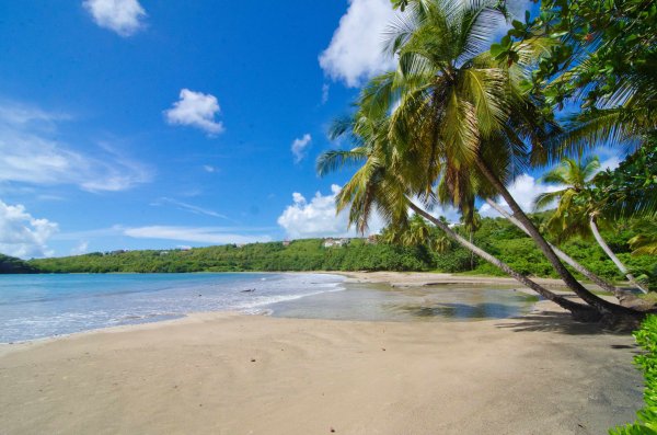 La Sagesse Bay, Grenada