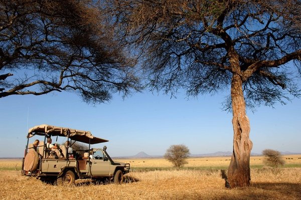 Kuro Tarangire, Tanzania