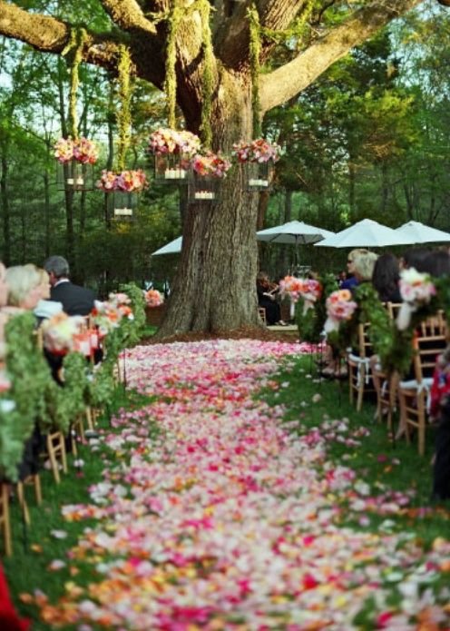 Finding an Enormous Tree is a Great Place to Start Planning Your Outdoor Wedding