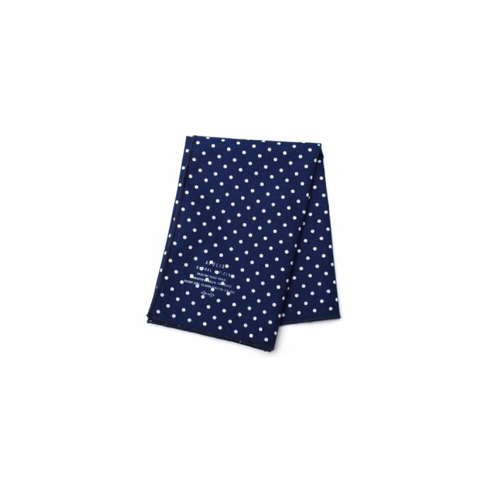 Apolis Polka Dot Pocket Square