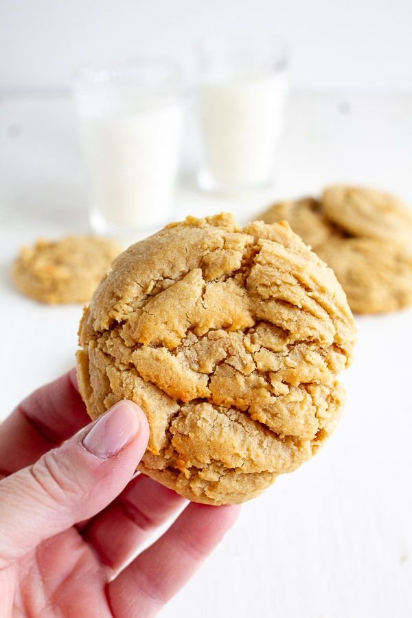 Dish, Food, Cookies and crackers, Peanut butter cookie, Anzac biscuit,