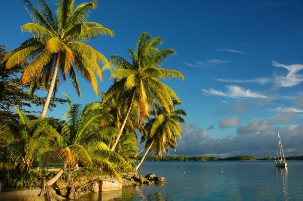 Volunteering for Palmyra Atoll