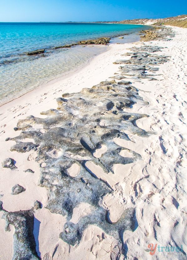 Coral Bay Beach, Coral Bay