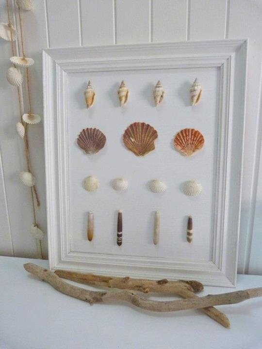 Framed Shells