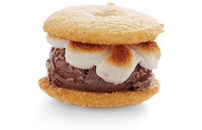 Topped Ice Cream Sandwich