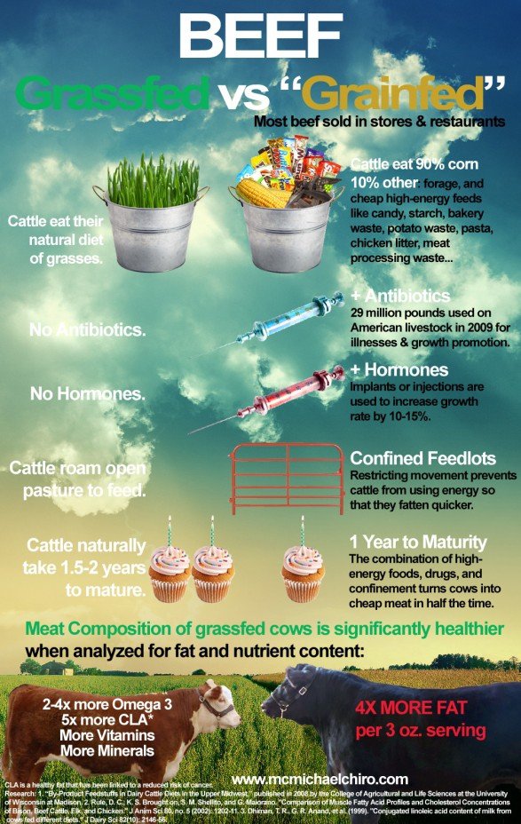 What's the Difference between GGrassfed Vs. Grain Fed?