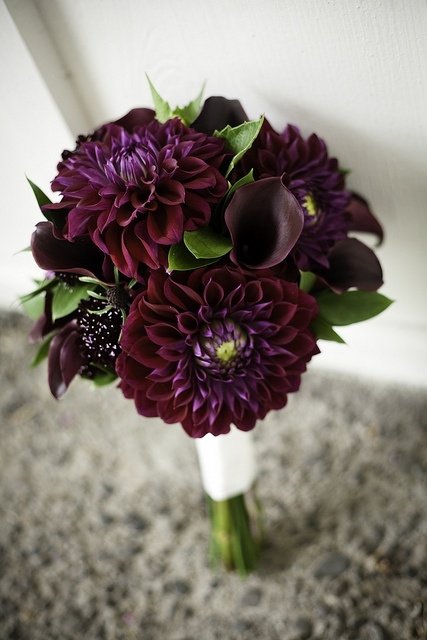 Dark Purple Dahlias and Calla Lilies