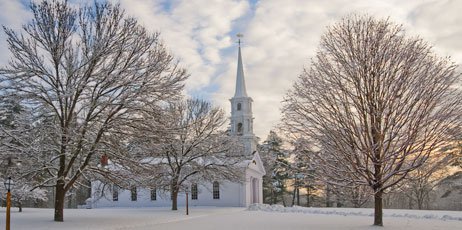 snow, winter, tree, weather, season,