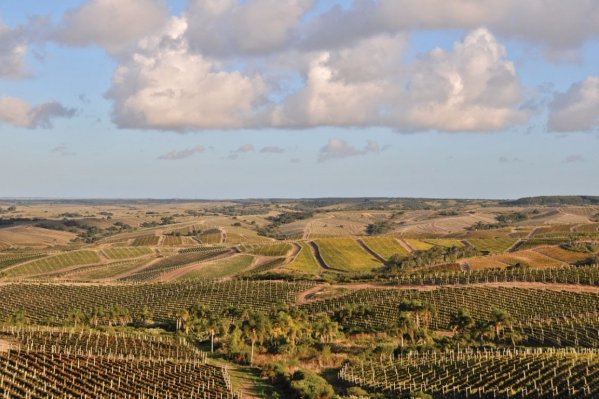 field, horizon, plain, steppe, hill,