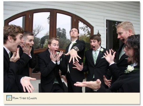 groom,presentation,Plum,Tree,studios,