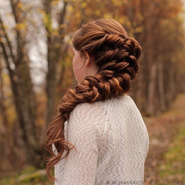 hair, hairstyle, long hair, girl, braid,