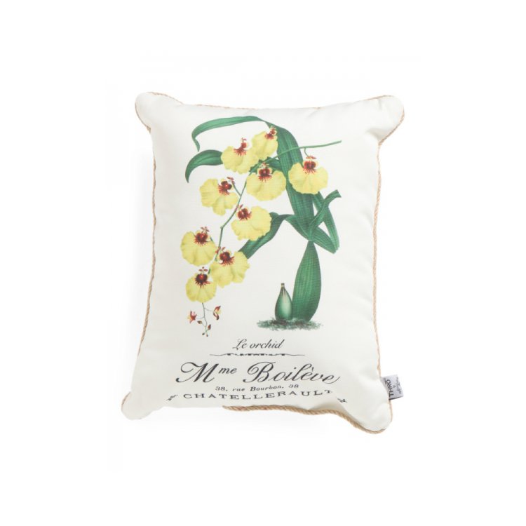 furniture, pillow, throw pillow, product, petal,