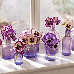 Pansies and Violas in Matching Bottles