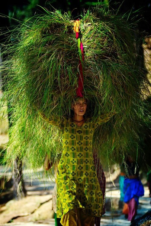 Woman Carrying Grass from a Market