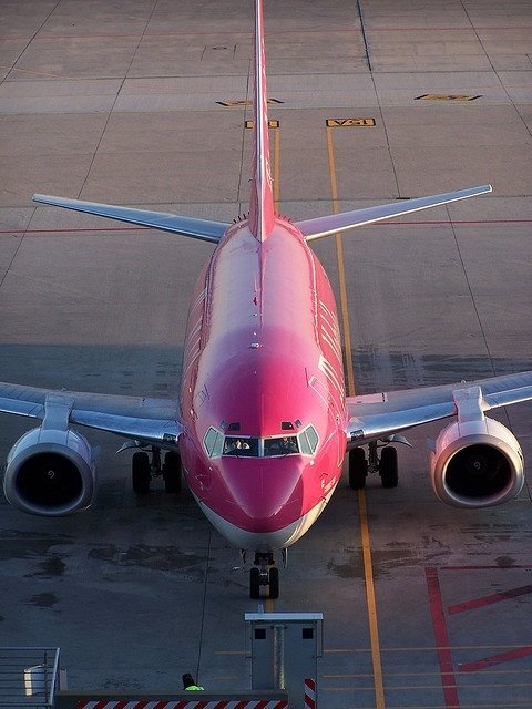 Pink Airplane