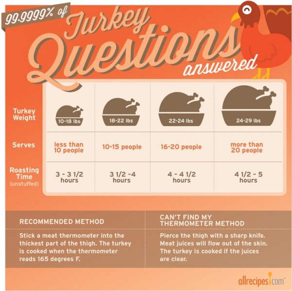 Get to Know Your Bird