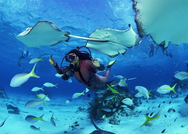 SNORKELING on Koh Tao