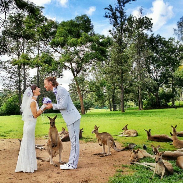 With Furry Friends at the Lone Park Koala Sanctuary, Brisbane, Australia