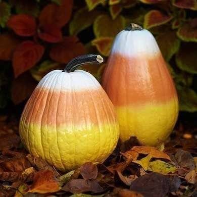 Candy Corn Pumpkin Decor