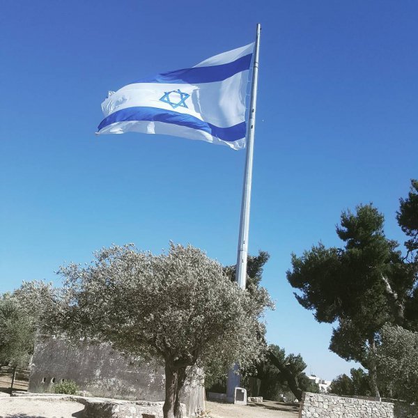 sky, flag, tree, wind,