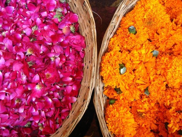 Phool Mandi, Delhi, India