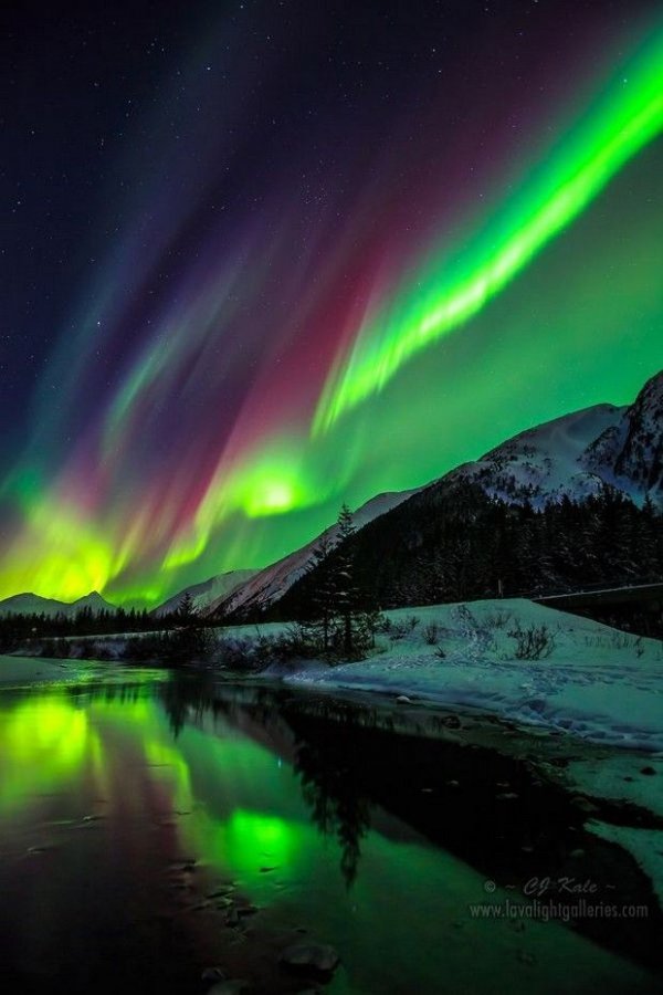 aurora,atmosphere,reflection,its,www.lavalighlgalleries,