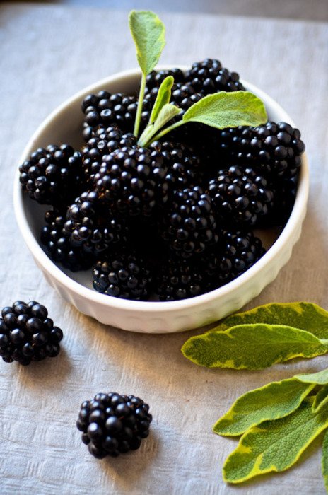 Blackberries