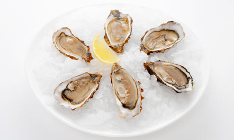 Oysters