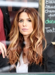 Chesnut Brown Ombre Highlights