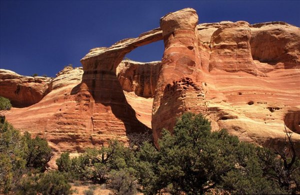 Black Ridge Canyons Wilderness – Colorado