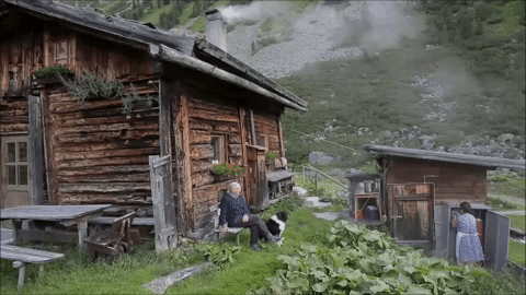 home, hut, log cabin, shack, cottage,